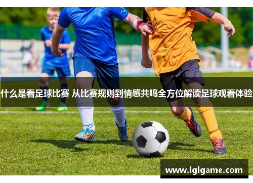 什么是看足球比赛 从比赛规则到情感共鸣全方位解读足球观看体验